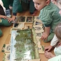 Jakie zwierzęta mieszkają w lesie