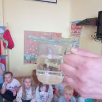 Eksperyment jak powstaje deszcz